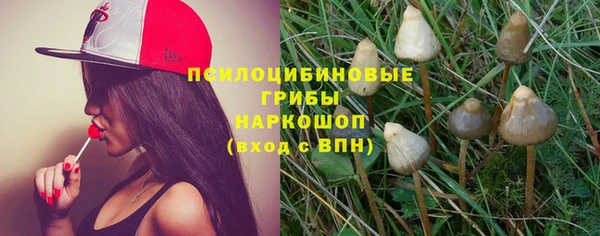 бутират Алексин