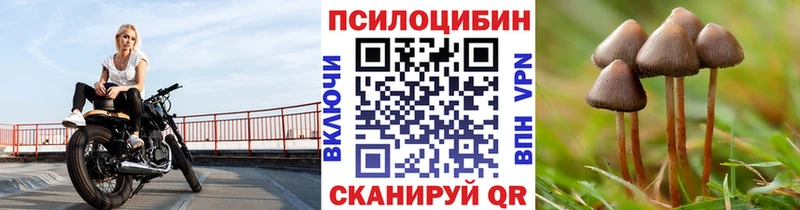 Псилоцибиновые грибы GOLDEN TEACHER  hydra маркетплейс  Приволжск 